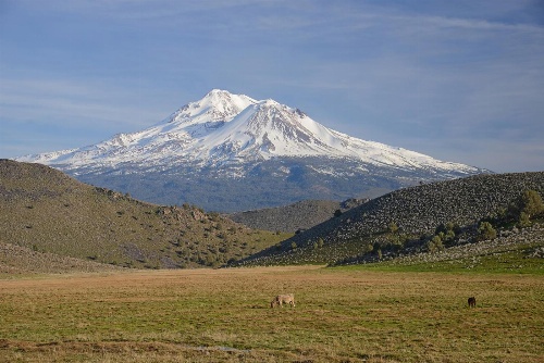 Inn At Mount Shasta image 1